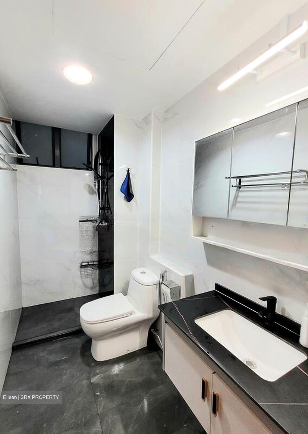 Summerdale (D22), Condominium #593589281